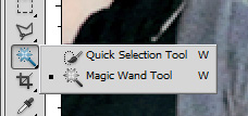 quick selection tool nested with magic wand
