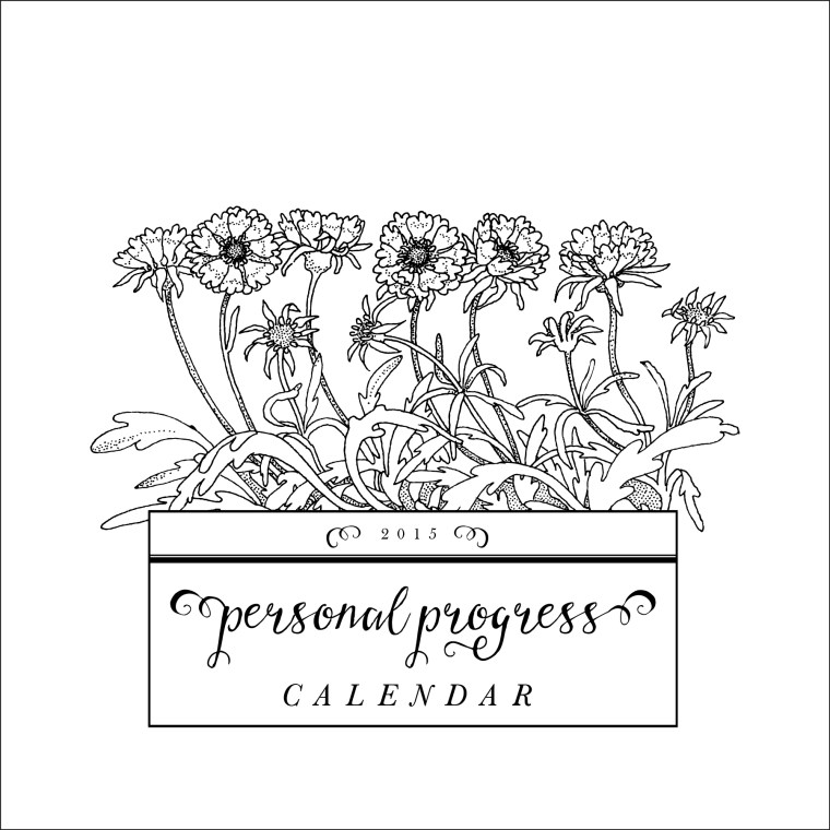 2015 Personal Progress Calendars! Editable months plus goal pages and bonus pages! Great Christmas gift/New Beginnings handout for YW!