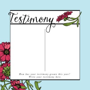 2015 Personal Progress Calendars! Editable months plus goal pages and bonus pages! Great Christmas gift/New Beginnings handout for YW!