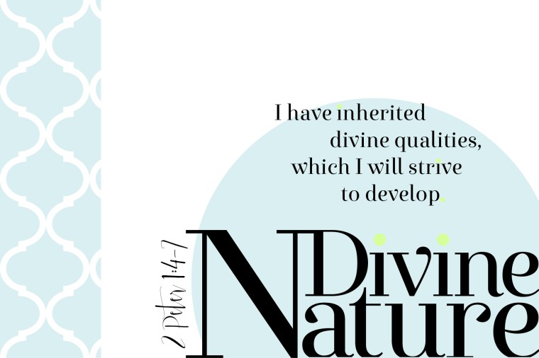 YW Values Now Personal Progress Value Cards. 4x6-inch Photo cards with Personal Progress values. Use as gifts, handouts and more!