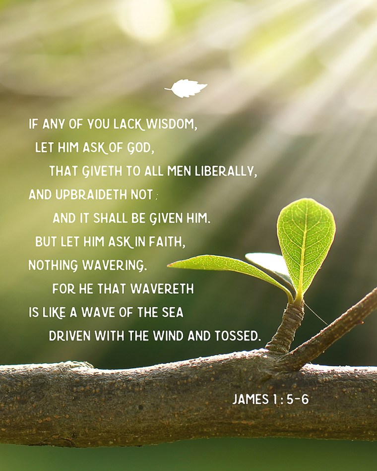 2017 Mutual Theme: James 1: 5-6. FREE 16x20-inch Poster!