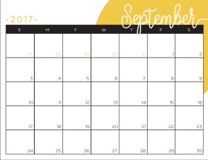 2017 LDS YW Personal Progress Calendar. FREE download!